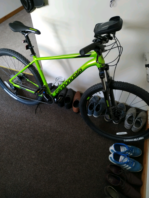 cannondale trail 7 xl